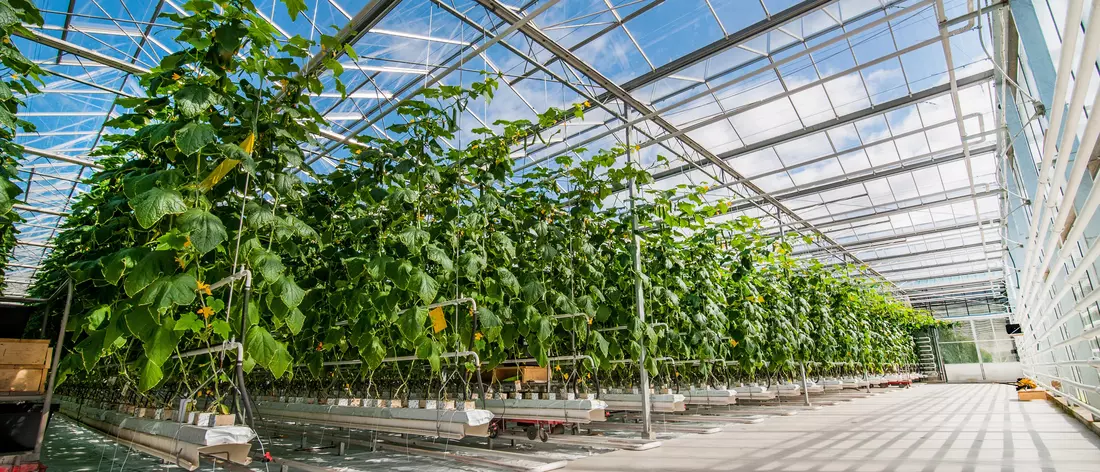 Steuerungen für Bewässerungstechnik in der Landwirtschaft 